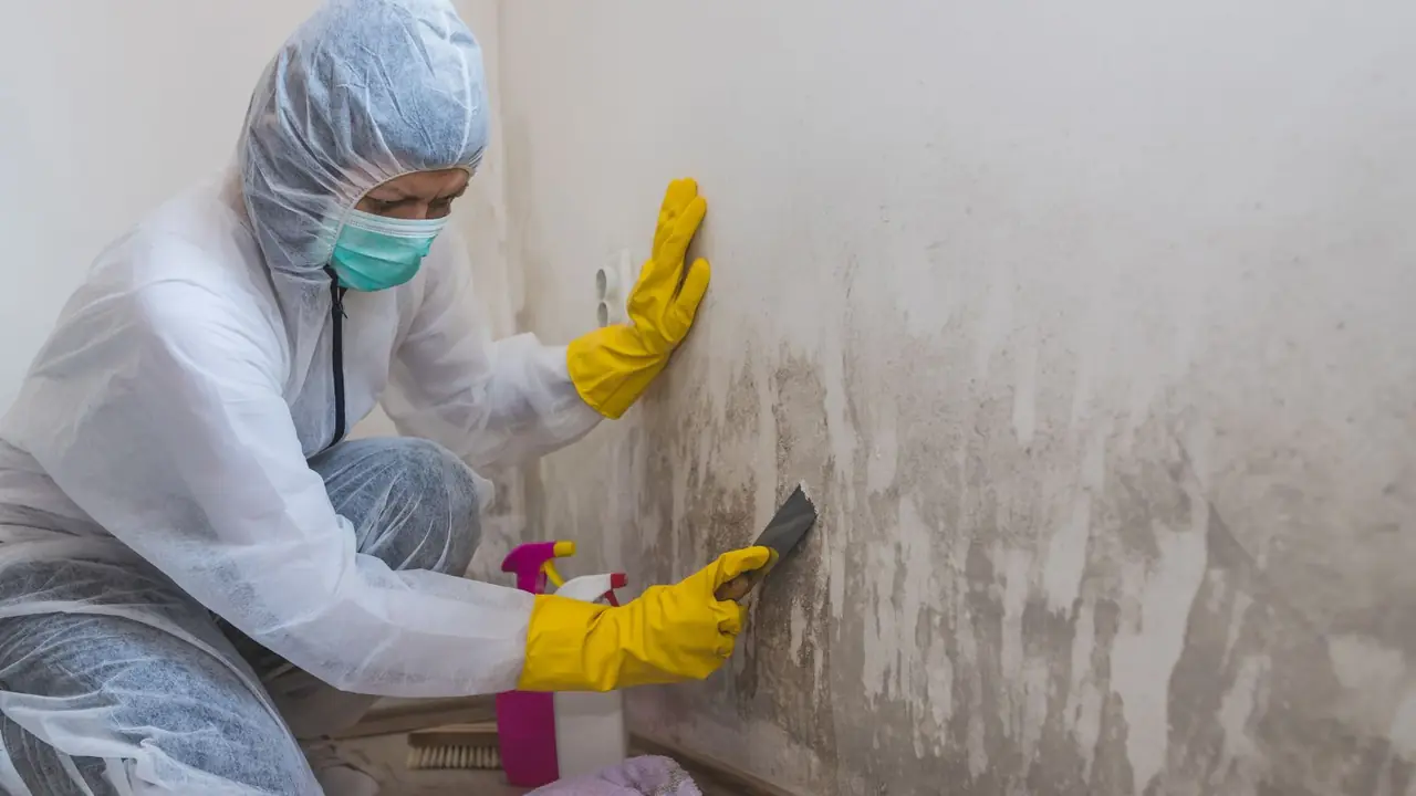 Technician in protective gear cleaning a mold stained wall corner